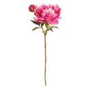 NAPA Home & Garden, PEONY STEM Collection