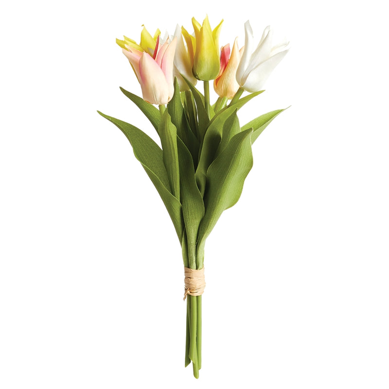 Napa Floral Collection-Lily-Flowered Tulip Stems , Bundle of 6