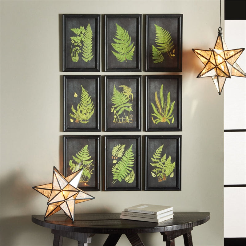 Napa Home Garden, FRAMED FERN BOTANICAL PRINTS ST/9,hc106