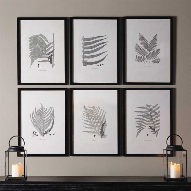 Napa Home Garden, FRAMED GRAY TONE FERN PRINTS ,SET OF 6,hc122