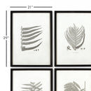 NAPA Home & Garden, FRAMED GRAY-TONE FERN PRINTS, SET OF 6,HC122