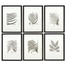 NAPA Home & Garden, FRAMED GRAY-TONE FERN PRINTS, SET OF 6,HC122