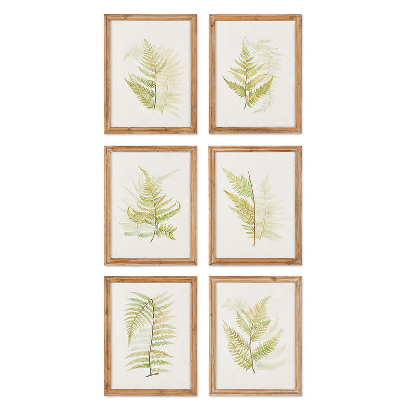 NAPA Home & Garden, FRAMED FERN STUDY, SET OF 6,HC133