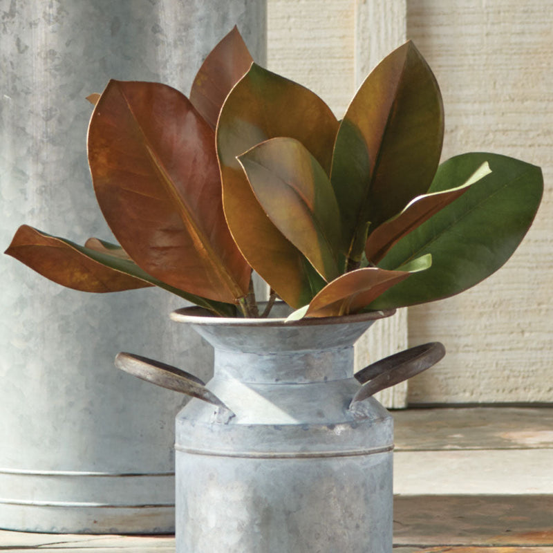 NAPA Home & Garden, GRAND MAGNOLIA COLLECTION