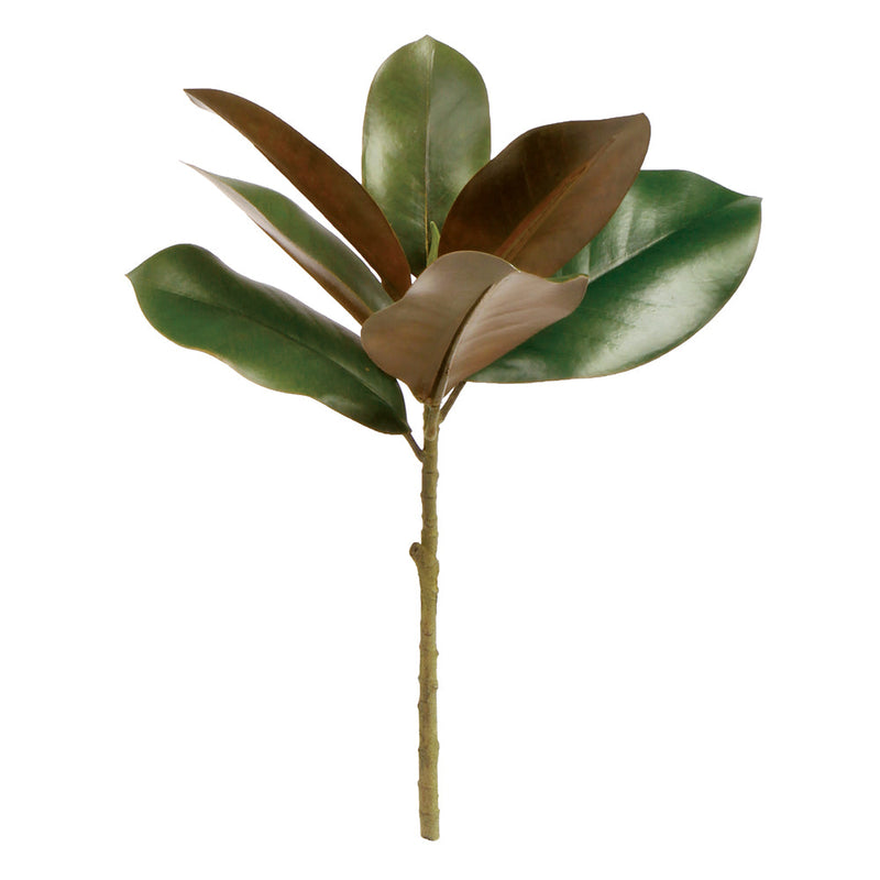 NAPA Home & Garden, GRAND MAGNOLIA COLLECTION