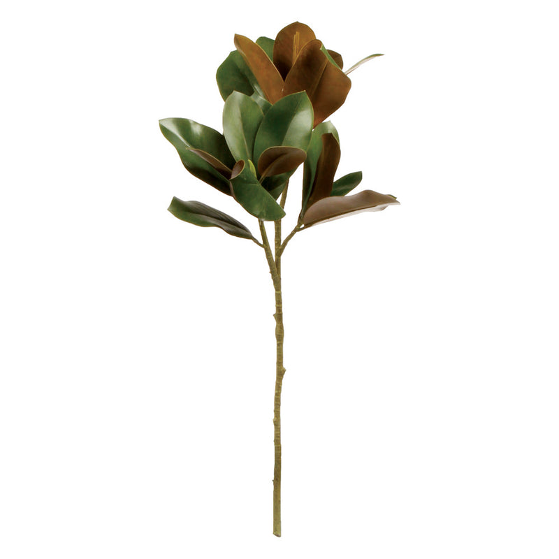 NAPA Home & Garden, GRAND MAGNOLIA COLLECTION