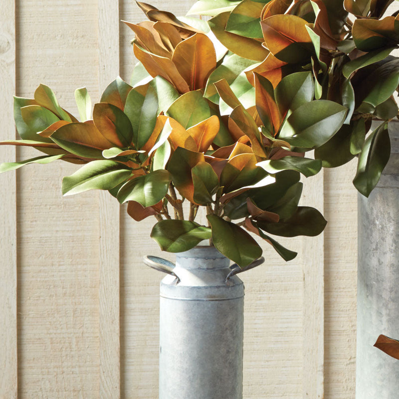 NAPA Home & Garden, GRAND MAGNOLIA COLLECTION