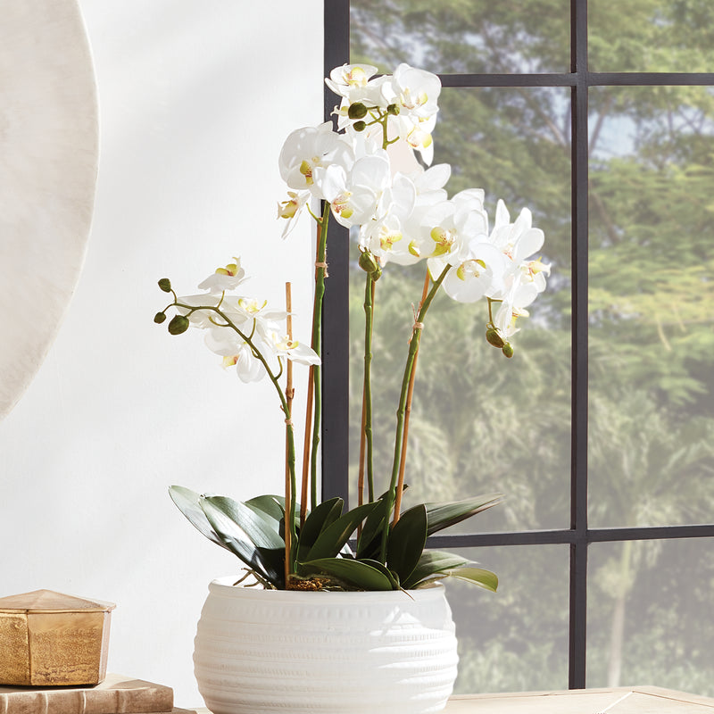 NAPA Home & Garden, PHALAENOPSIS ORCHID BOWL DROP-IN 25",K112W