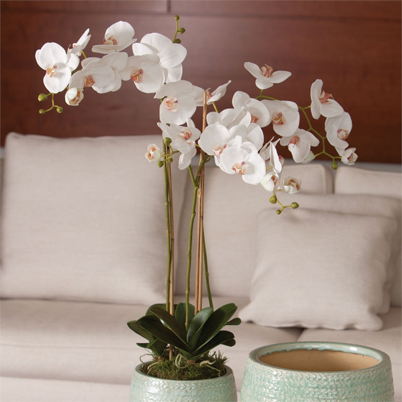 Napa Home Garden, PHALAENOPSIS 31" ORCHID DROPIN WHT,k118w