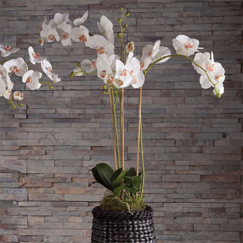 Napa Home Garden, PHALAENOPSIS 31" ORCHID DROPIN WHT,k118w