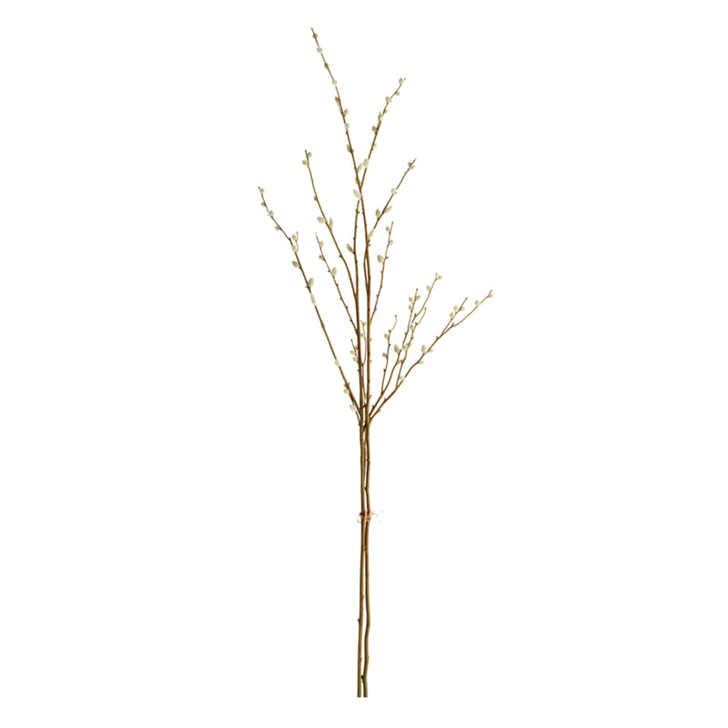 Napa Home Garden, PUSSYWILLOW STEMS BUNDLE/2,k155