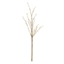 NAPA Home & Garden, PUSSYWILLOW STEMS 52", BUNDLE OF 2,K155