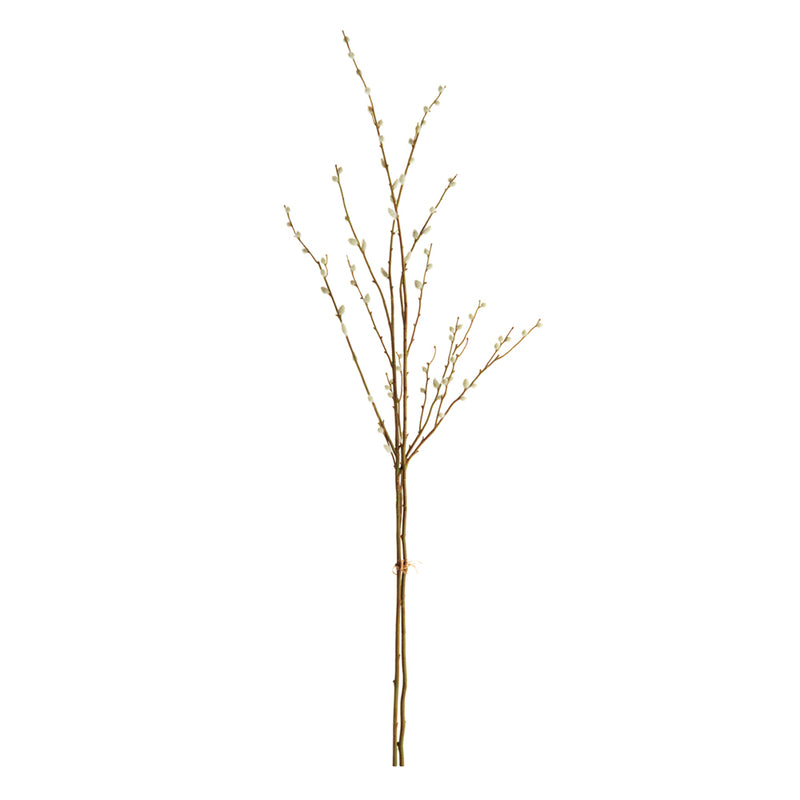 NAPA Home & Garden, PUSSYWILLOW STEMS 52", BUNDLE OF 2,K155