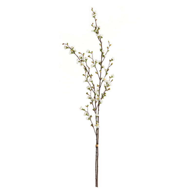 NAPA Home & Garden, QUINCE BLOSSOM BRANCHES 48", BUNDLE OF 2,K157