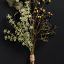 NAPA Home & Garden, EUCALYPTUS SEED SPRAY 28",K171SG