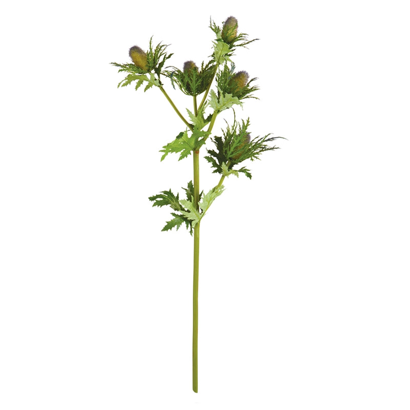 Napa Home Garden, THISTLE 27" STEM BL,k173bl