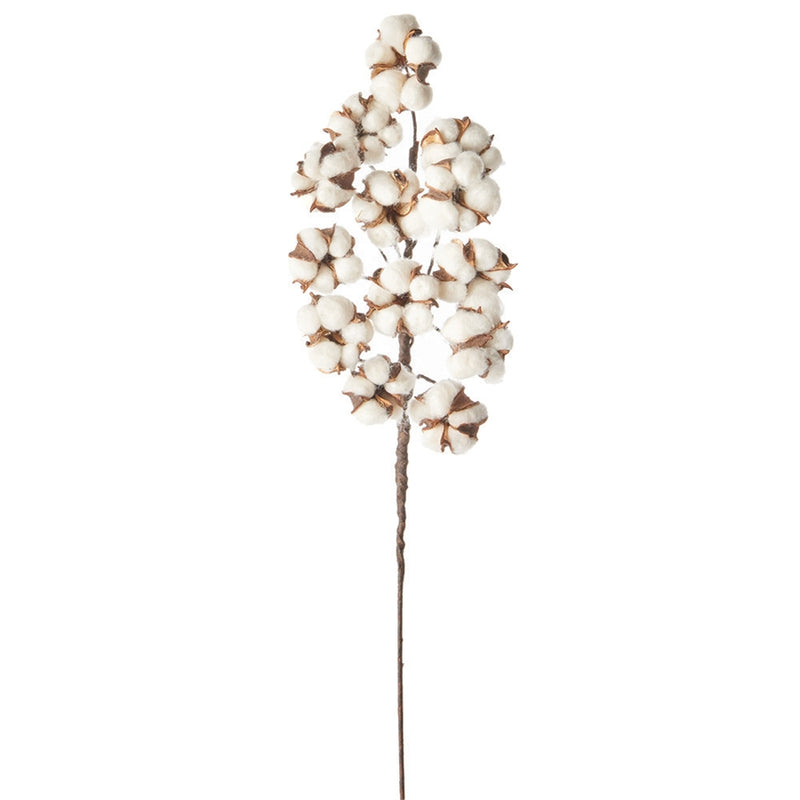 Napa Home Garden, COTTON 20" STEM,mq113