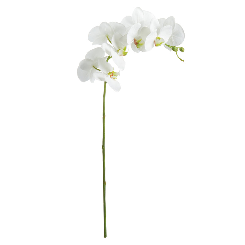 NAPA Home & Garden, PHALAENOPSIS ORCHID STEM 28",N2CC01