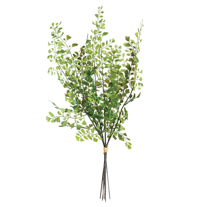 Napa Home Garden, MAIDENHAIR FERN STEMS BUNDLE/7,n2cc02