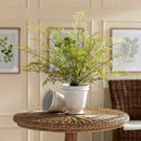 NAPA Home & Garden, SOFT FERN DROP-IN
