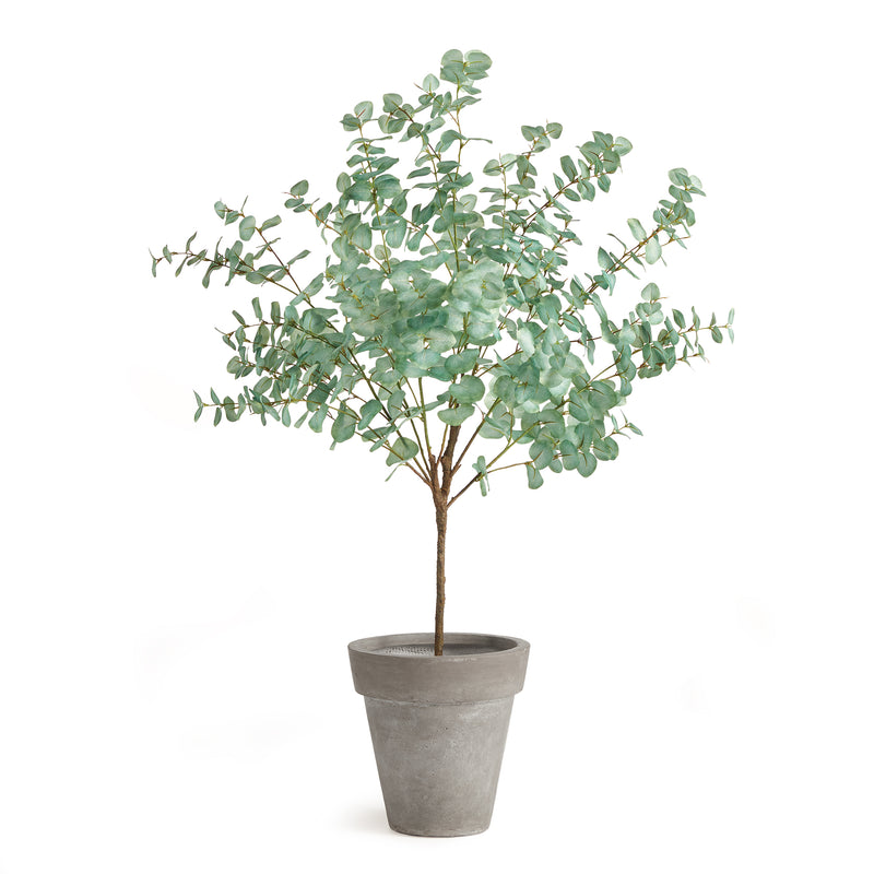 NAPA Home & Garden, EUCALYPTUS TREE DROP-IN 49",N2CC06