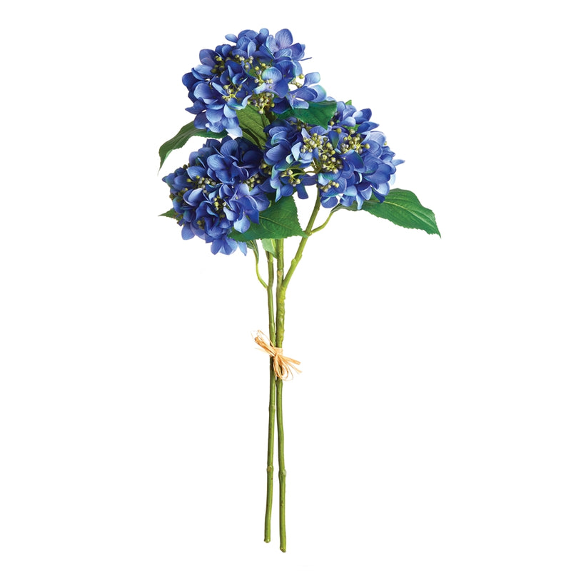 Napa Home Garden, HYDRANGEA STEMS BUNDLE/2,n2cc07bld