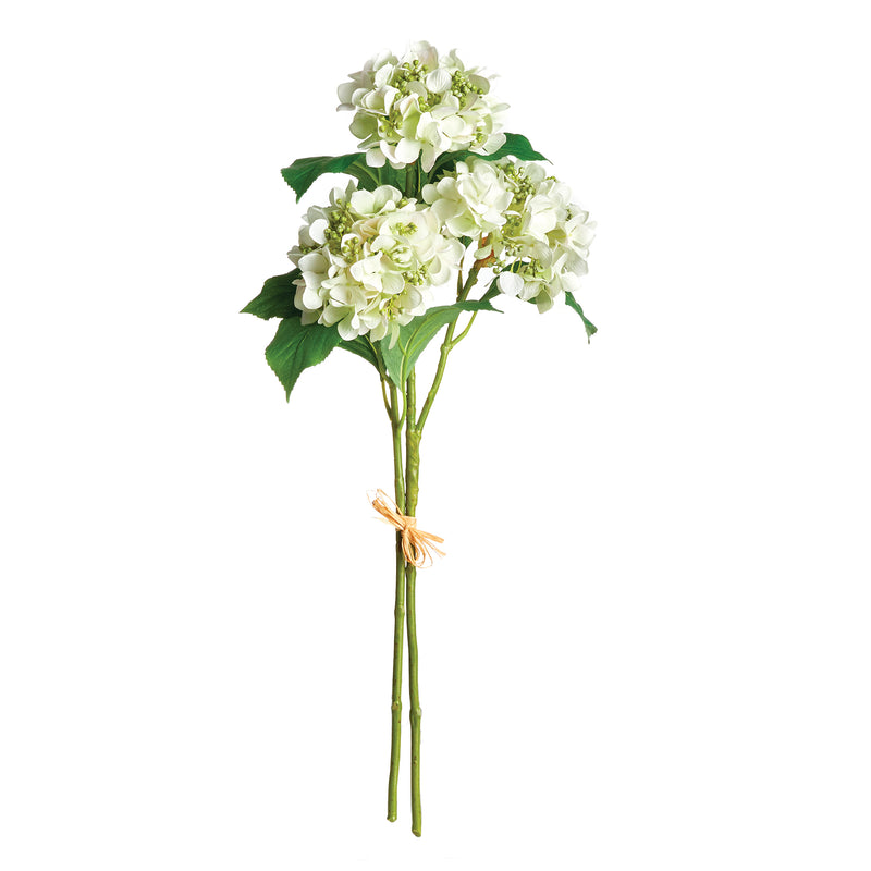 NAPA Home & Garden, HYDRANGEA STEMS, BUNDLE OF 2,N2CC07WH