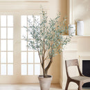 NAPA Home & Garden, GRAND TREE DROP-IN COLLECTION