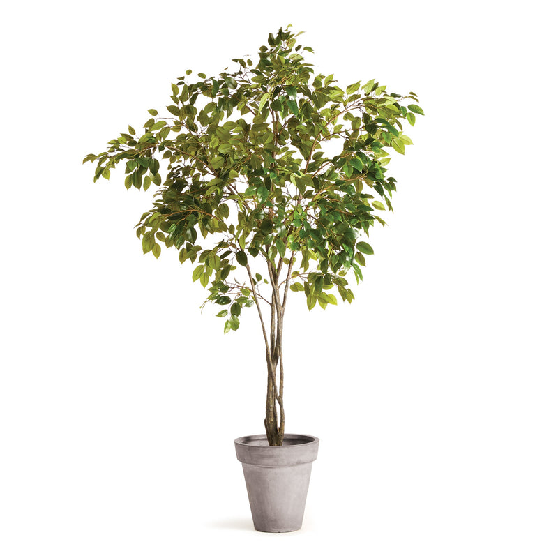 NAPA Home & Garden, GRAND TREE DROP-IN COLLECTION