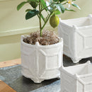 NAPA Home & Garden, Chinoiserie and Lola Cachepot Collection