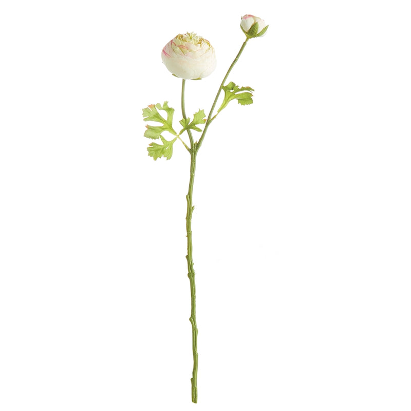 Napa Home Garden, RANUNCULUS STEM 21",n2gp08cr