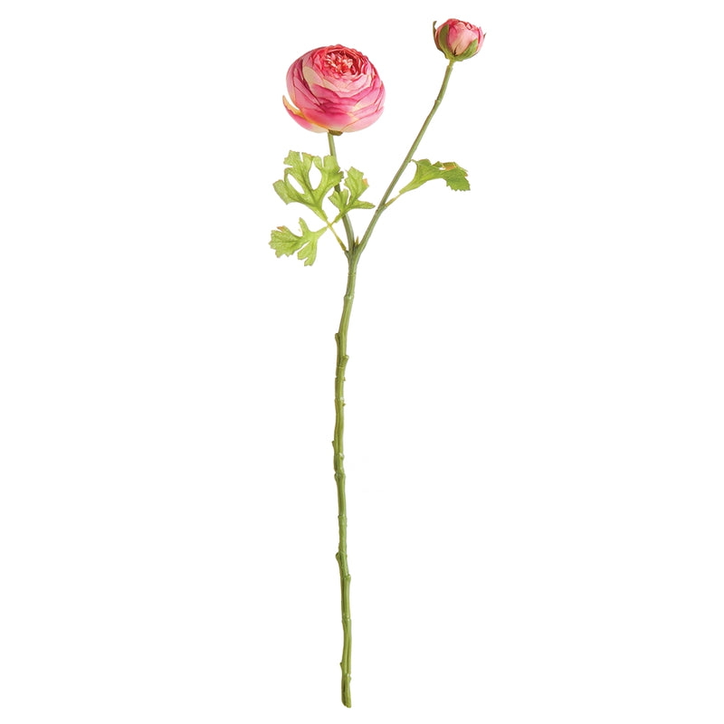 Napa Home Garden, RANUNCULUS STEM 21",n2gp08pk