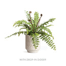 NAPA Home & Garden, EVA Collection