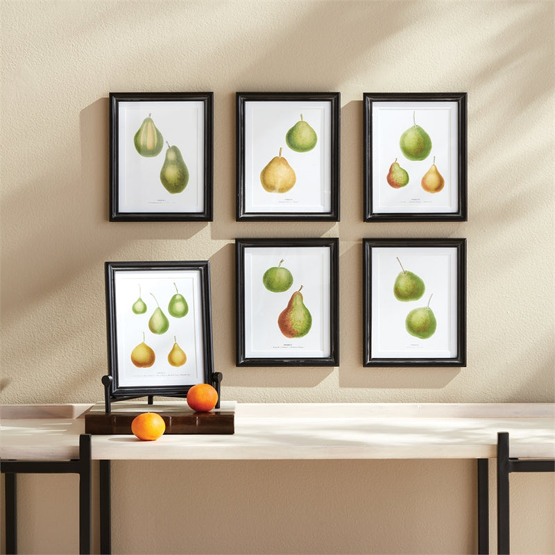 Napa Home Garden, PEAR STUDY ,SET OF 6,n2nh02