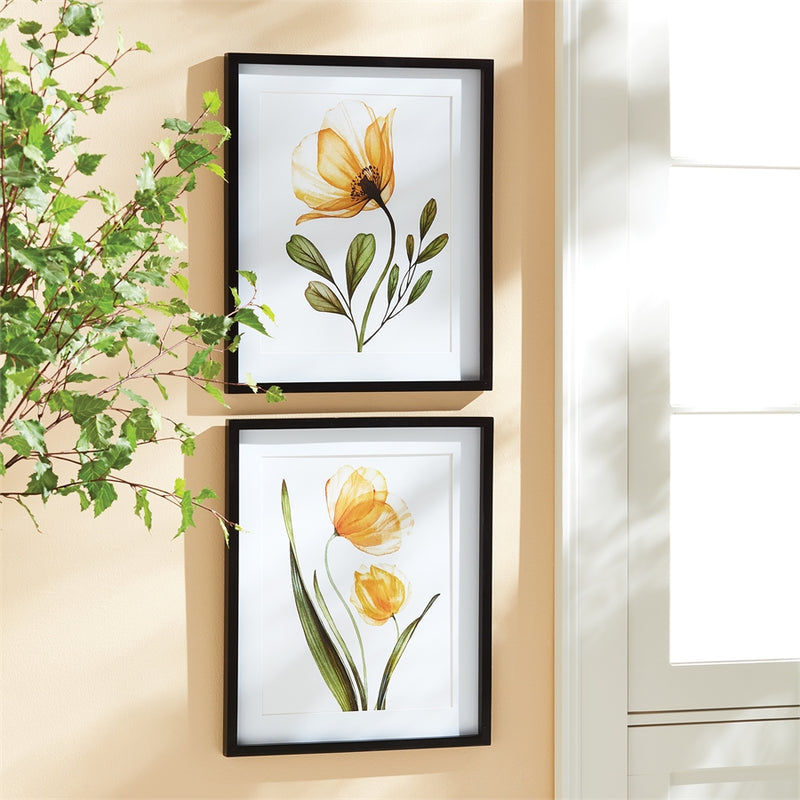 Napa Home Garden, X-RAY BOTANICAL PRINTS ,SET OF 2,n2nh03