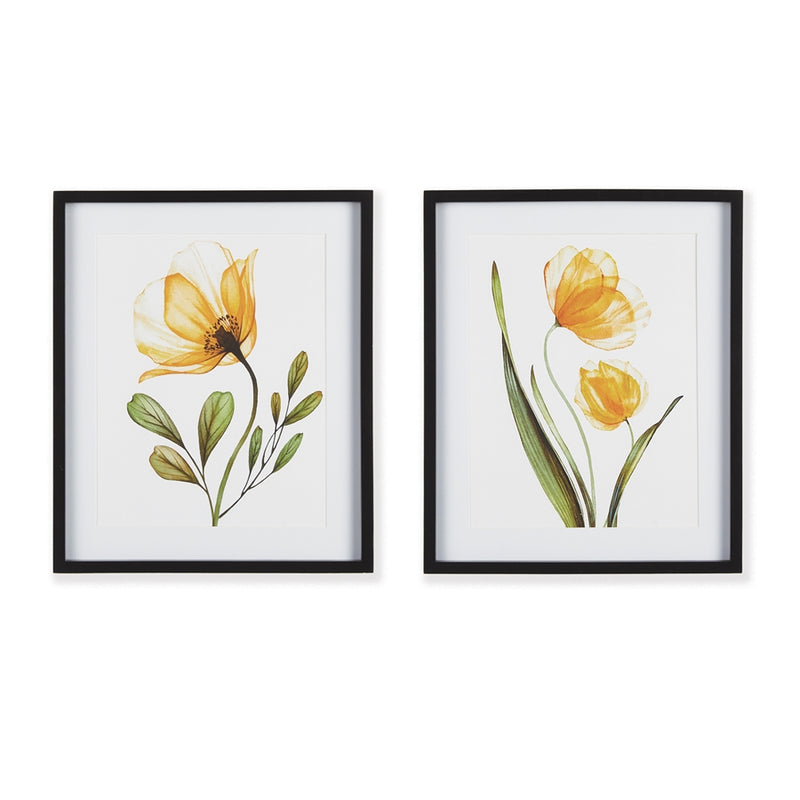 Napa Home Garden, X-RAY BOTANICAL PRINTS ,SET OF 2,n2nh03