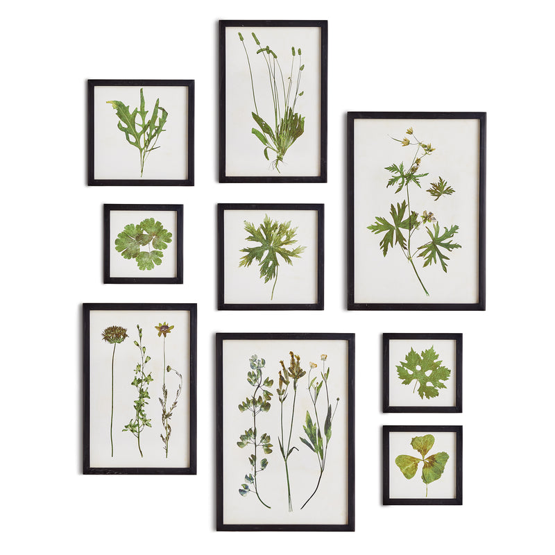 NAPA Home & Garden, FOLIAGE PRINTS, SET OF 9,N2NH08