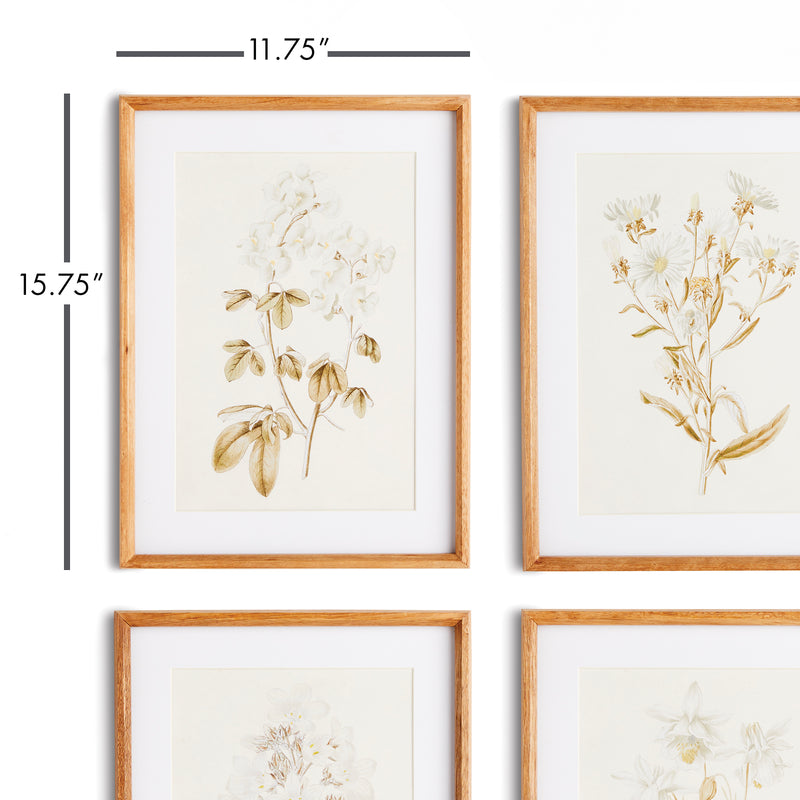 NAPA Home & Garden, FLEUR DE BLANC PRINTS, SET OF 4,N2NH11