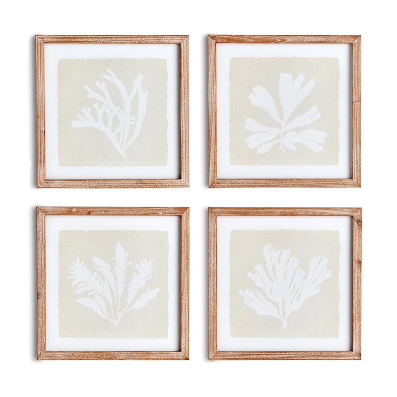 Napa Home Garden, SEAWEED PETITE PRINTS ,SET OF 4,n2nh12