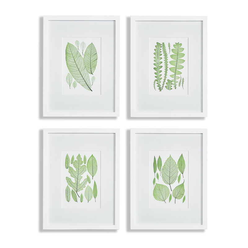 NAPA Home & Garden, ASSORTED LEAF PRINTS, SET OF 4,N2NH14