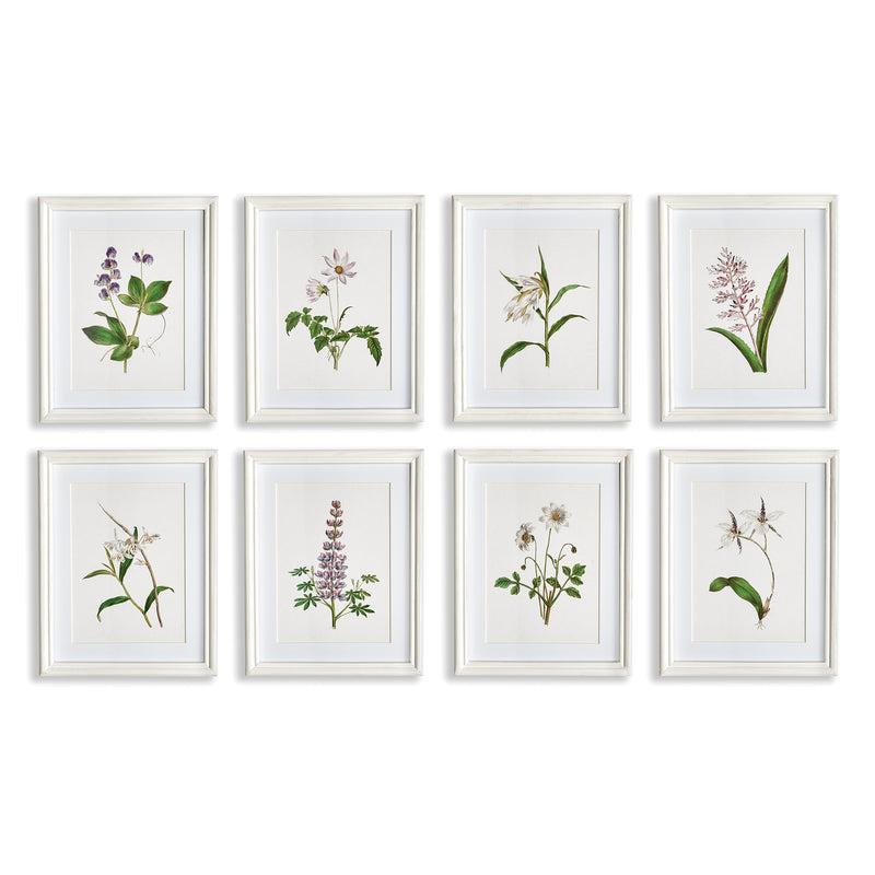 NAPA Home & Garden, FLOWERS IN BLOOM PETITE PRINTS, SET OF 8,N2NH22