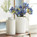 NAPA Home & Garden, BARCLAY BUTERA WESTCLIFF CYLINDER JAR COLLECTION