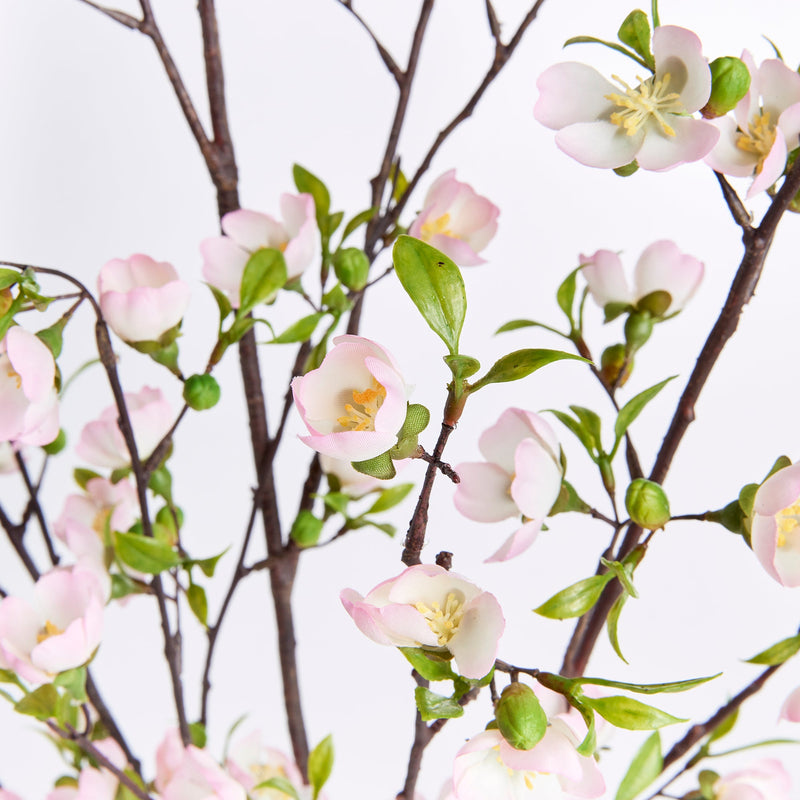 NAPA Home & Garden, Cherry Blossom Branches, Bundle