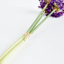 NAPA Home & Garden, Allium Stems, Bundle of 3