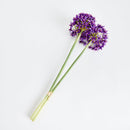 NAPA Home & Garden, Allium Stems, Bundle of 3