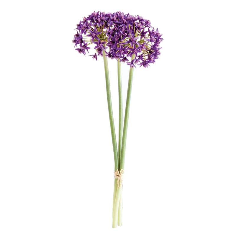 Napa Home Garden, ALLIUM STEMS BUNDLE/3 PURPLE,n3cc22prd