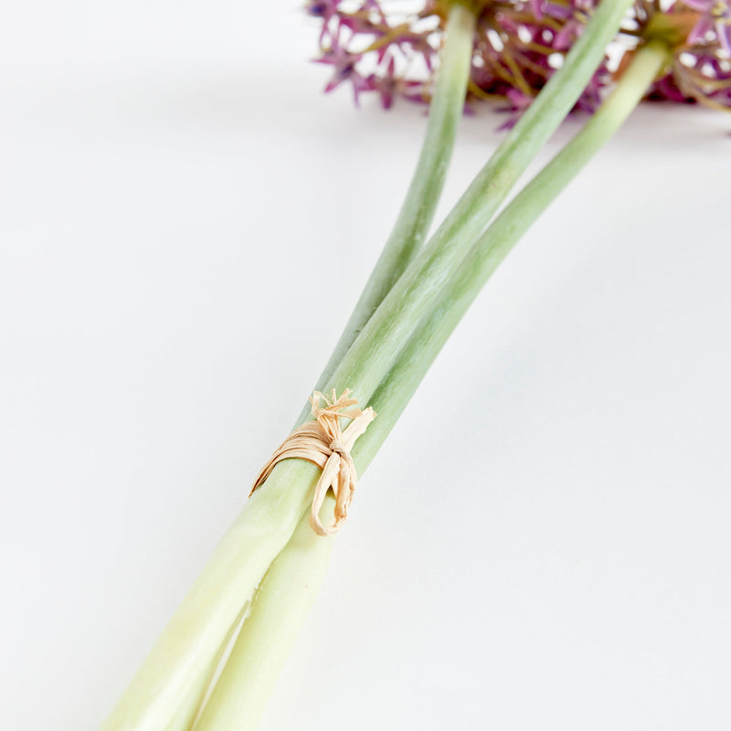 NAPA Home & Garden, Allium Stems, Bundle of 3