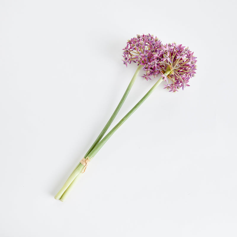 NAPA Home & Garden, ALLIUM STEMS 19", BUNDLE OF 3,N3CC22PRL