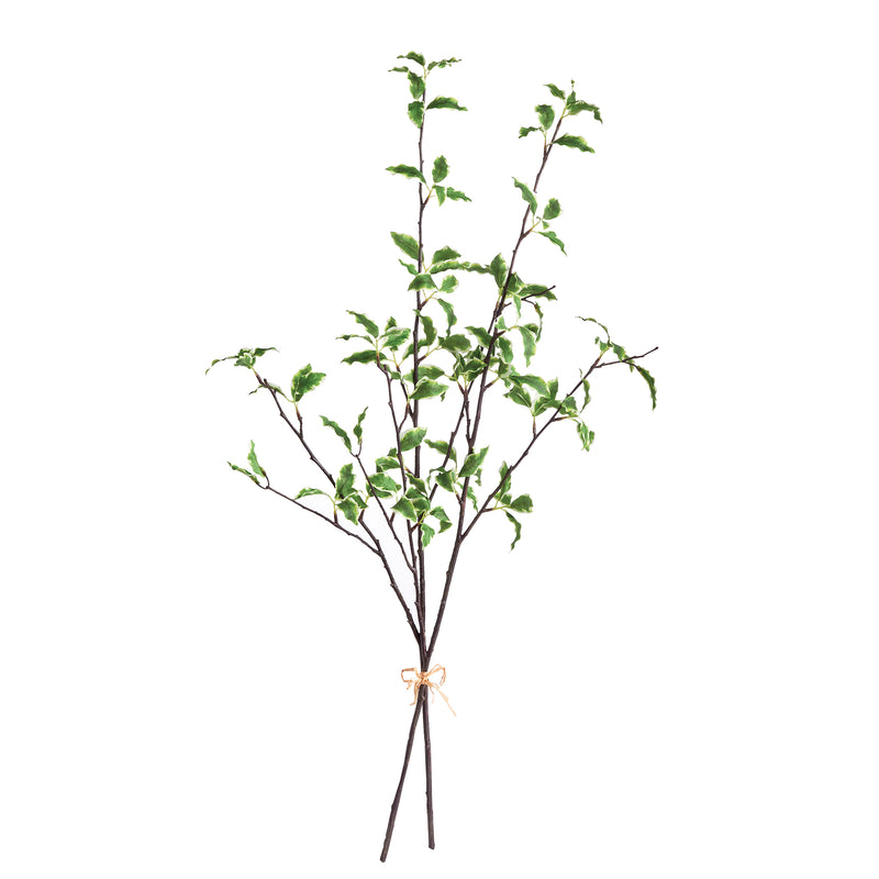 NAPA Home & Garden, VARIEGATED LEAF BRANCHES 32", BUNDLE OF 2,N3CC24