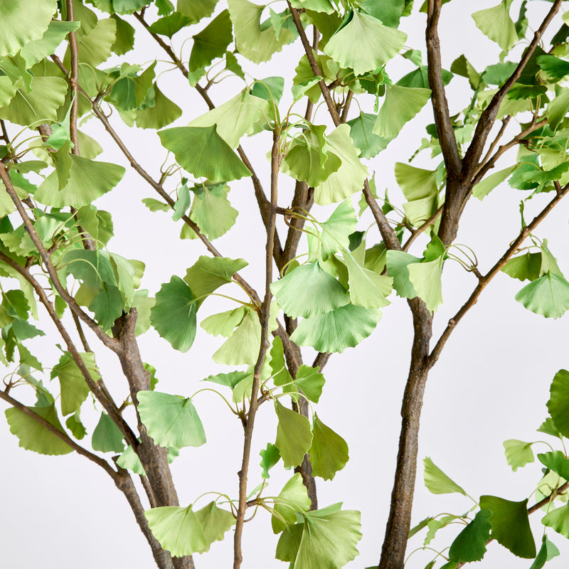 NAPA Home & Garden, GINKGO TREE DROP-IN 8',N3CC29